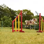 Hof Koehne - Haus Am Spielplatz - Schweinchen * Schmallenberg