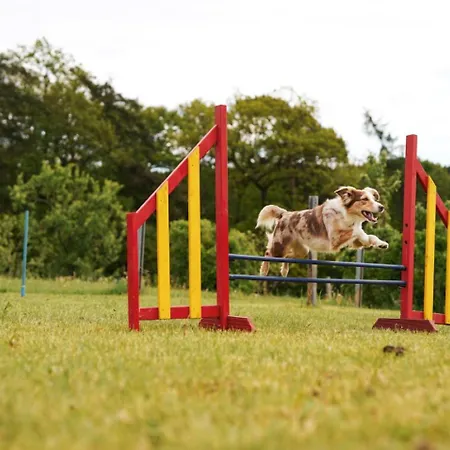 Hof Koehne - Haus Am Spielplatz - Schweinchen * Schmallenberg