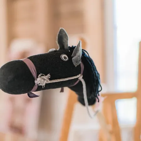 Hof Koehne - Haus Am Spielplatz - Schweinchen * Schmallenberg