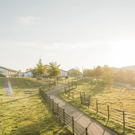 Hof Koehne - Haus Am Spielplatz - Schweinchen Appartement Schmallenberg