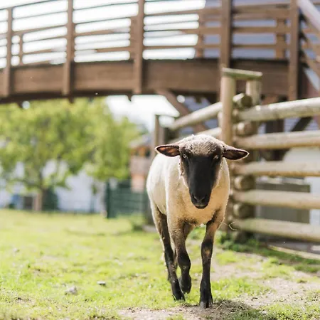 Apartamento Hof Koehne - Haus Am Spielplatz - Schweinchen Schmallenberg