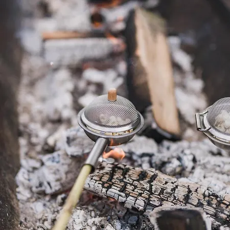 Hof Koehne - Haus Am Spielplatz - Schweinchen