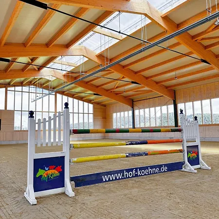 Hof Koehne - Haus Am Spielplatz - Schweinchen *