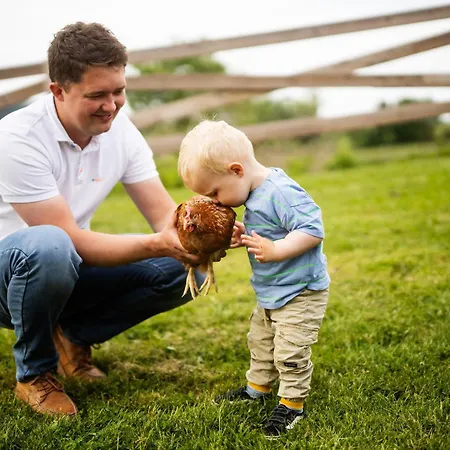 Hof Koehne - Haus Am Spielplatz - Schweinchen Apartment Schmallenberg