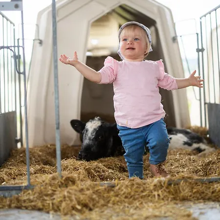Hof Koehne - Haus Am Spielplatz - Schweinchen