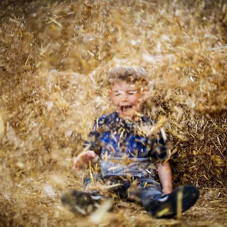 Hof Koehne - Haus Am Spielplatz - Schweinchen Apartment Schmallenberg