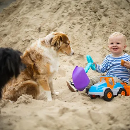 Hof Koehne - Haus Am Spielplatz - Schweinchen Apartment *