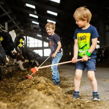 Hof Koehne - Haus Am Spielplatz - Schweinchen *