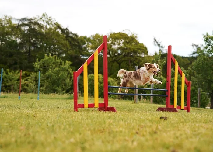 Hof Koehne - Haus Am Spielplatz - Schweinchen * Schmallenberg