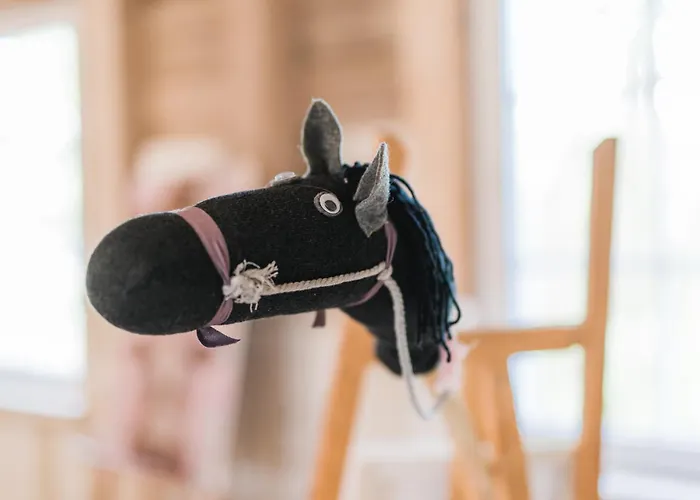 Hof Koehne - Haus Am Spielplatz - Schweinchen * Schmallenberg