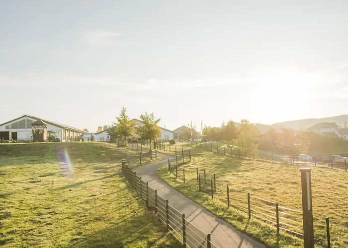Hof Koehne - Haus Am Spielplatz - Schweinchen Apartamento Schmallenberg