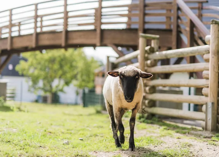 Apartamento Hof Koehne - Haus Am Spielplatz - Schweinchen Schmallenberg