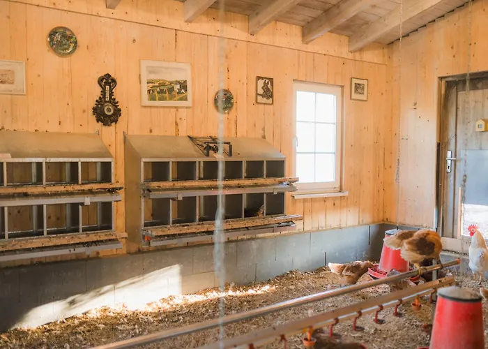 Hof Koehne - Haus Am Spielplatz - Schweinchen *