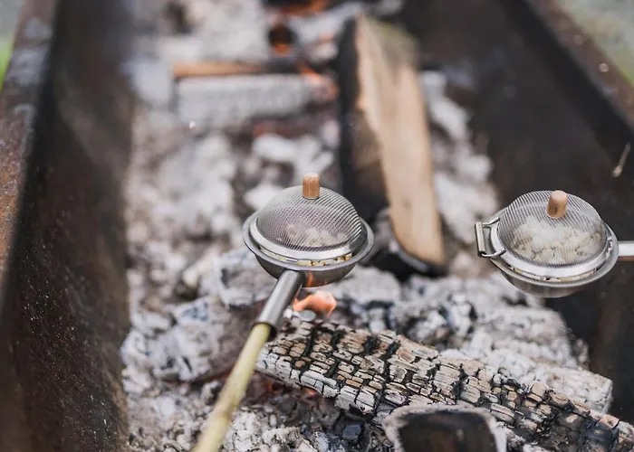 Hof Koehne - Haus Am Spielplatz - Schweinchen