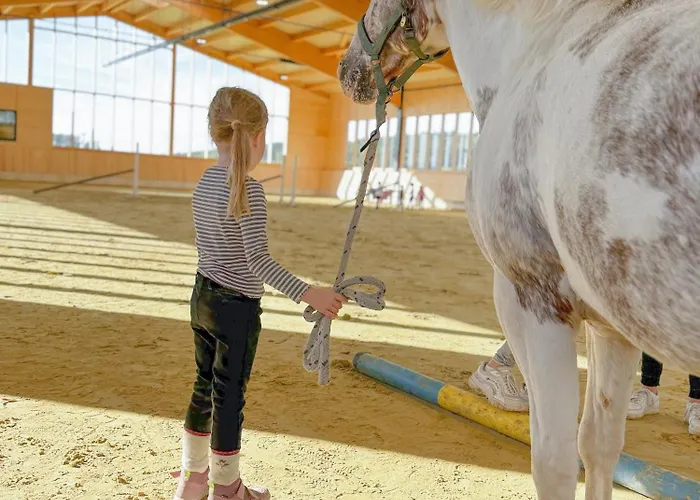 Hof Koehne - Haus Am Spielplatz - Schweinchen *